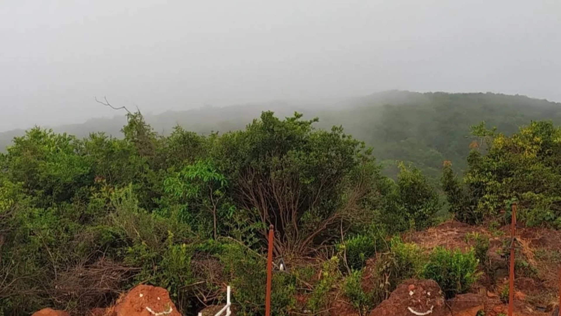 Bison Resort Amboli