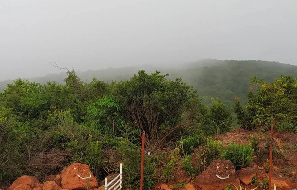 Bison Resort Amboli Gallery Images